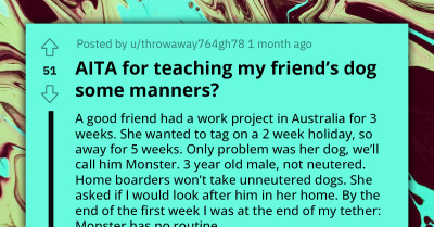 Fed-Up Redditor Decided To Teach Friend's Dog Some Manners, Gets Accused Of Breaking The Dog's Spirit And Changing His Personality