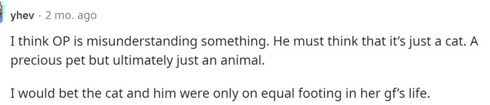 This is true too; for OP, the cat is just a cat, but for the GF, she probably thinks of the cat as more important than OP.