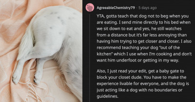 Husband Believes His Wife Is Being Unreasonable For Snapping At His Untrained Dog For Using Her Clean Clothes To Nest On