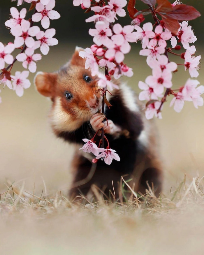 5. Hey there, I see you watching me