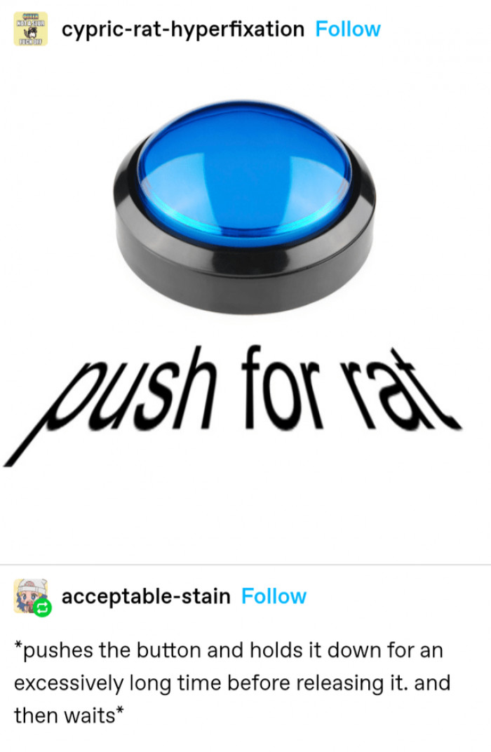 13. Are you trying to get more rats, or is this some riddle we can’t quite figure out yet?