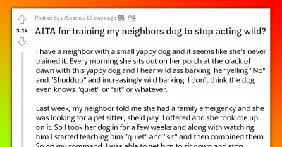 This Guy Secretly Trained His Neighbour's Wild Dog While Dogsitting