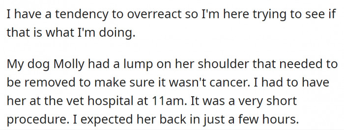 The dog had a lump on her shoulder, which required a short procedure to remove it.