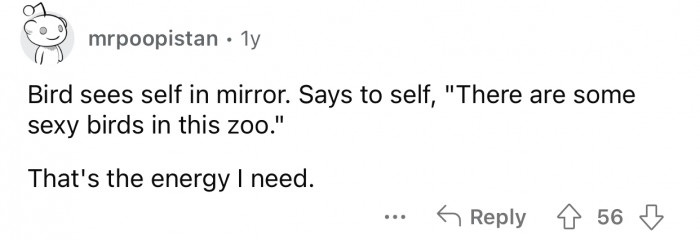 They only need their own reflections to get in the mood.