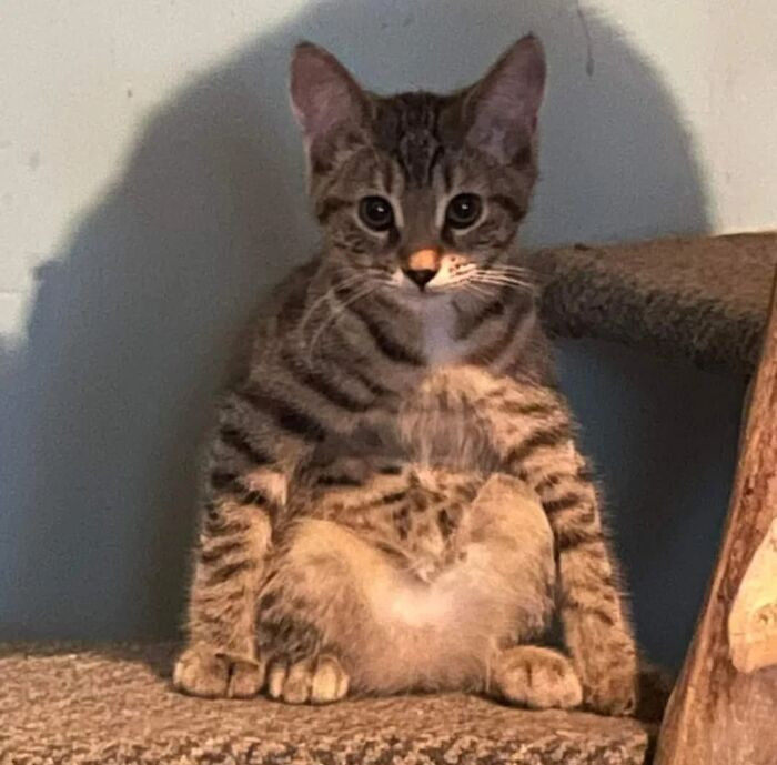 "She Used To Sit Like This As A Baby"
