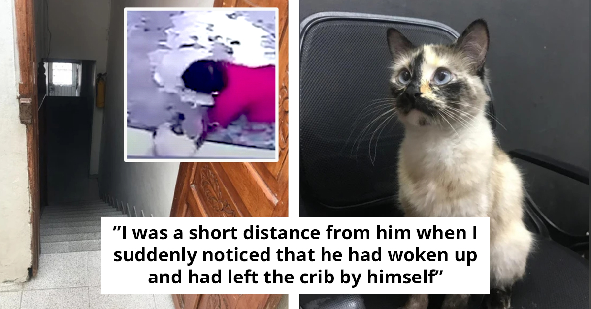 Heroic Cat Goes Viral For Stopping A Baby From Falling Down A Steep Stairway