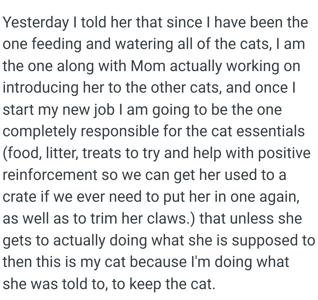Being the one responsible for the cat