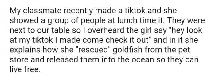 Hey, come check out my TikTok