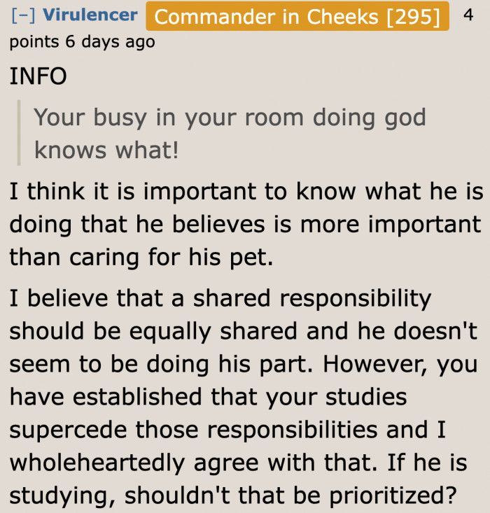 The OP wasn't clear about what the little brother was really doing.