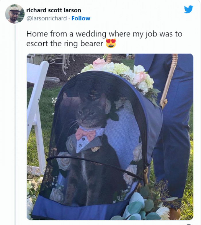 4. Best job to have at a wedding