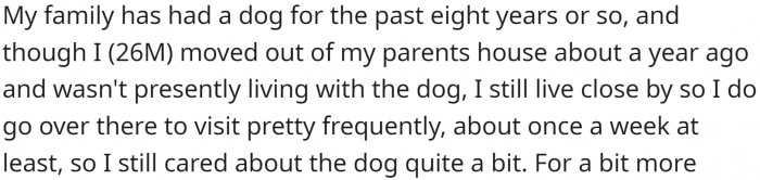 OP's family has had a dog for the past eight years or so: