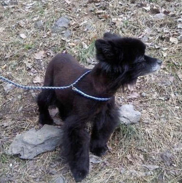 13. "From totally shut down and refusing to respond to his name, to the happiest, handsomest boy"