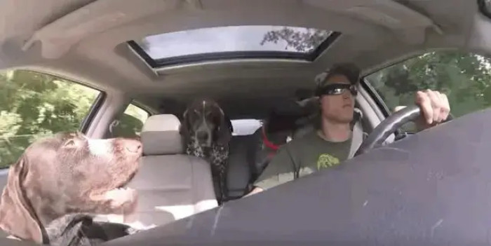 When the dad inquires,