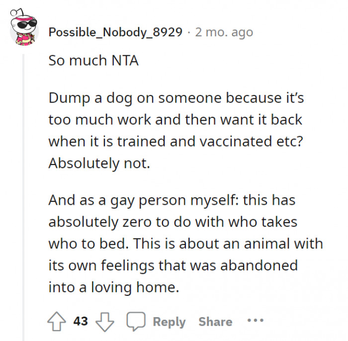 It all comes down to the dog.