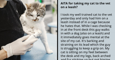 Redditor Asks If They Made a Mistake Taking Their Cat to the Vet on a Leash, Causing It to Be Almost Attacked by a Dog