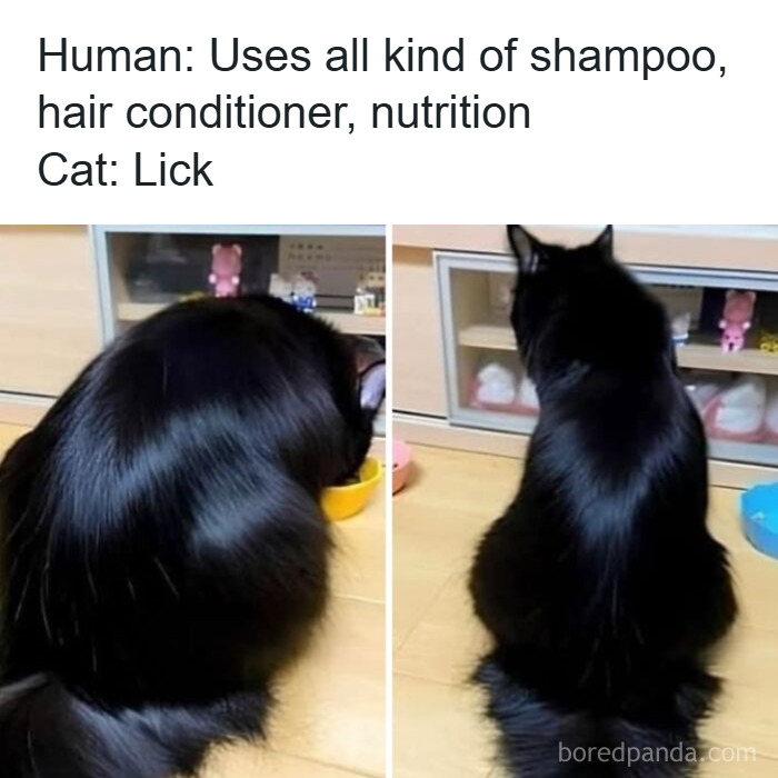 47. The secret ingredient? Confidence and a rough tongue.