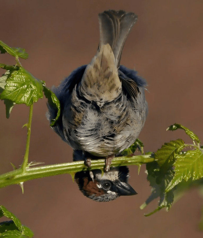 16. Don't be afraid to view things from a different angle.