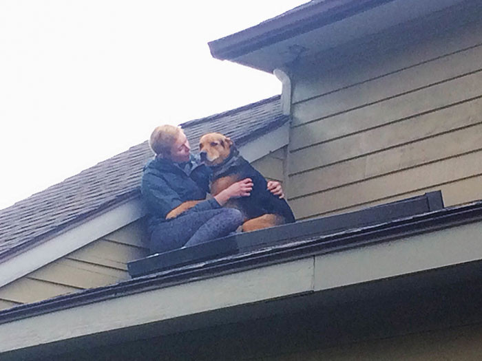 1. Somehow Our Dog Opened The Upstairs Screen Door And Ended Up Following Our Cat Onto The Roof. He Required Consoling Before Coming Back Inside