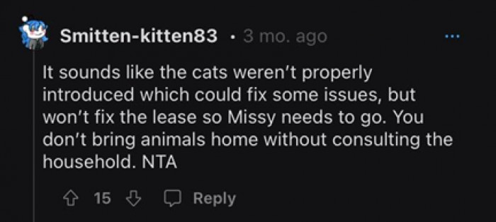 Noodle and Missy not being friendly to each other aren’t the problems!  There’s a lease contract and that’s the very stress OP needs to face.