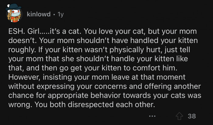 Op blew things out of proportion. It's a cat after all.