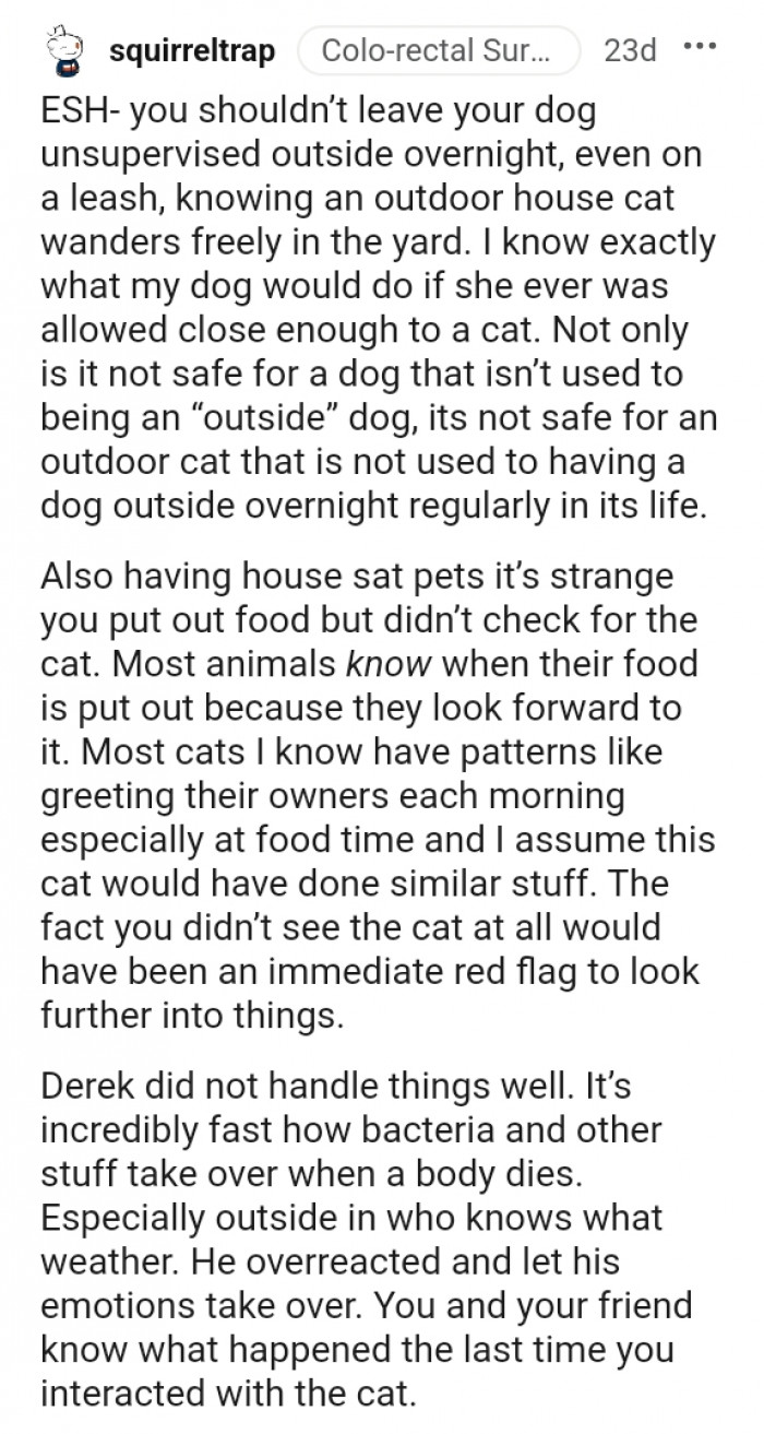 You should not leave your dog unsupervised