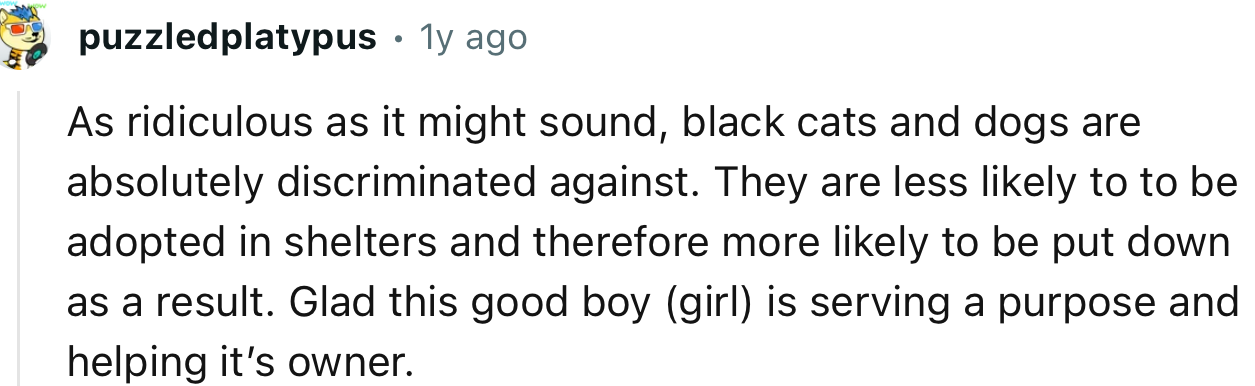 “As ridiculous as it might sound, black cats and dogs are absolutely discriminated against.”