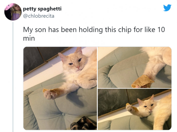 9. And the "Resist Eating The Chip" Award goes to...