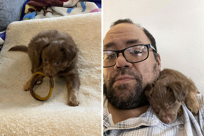 31. Meet The Newest Member Of The Family, Charlie Brown!"