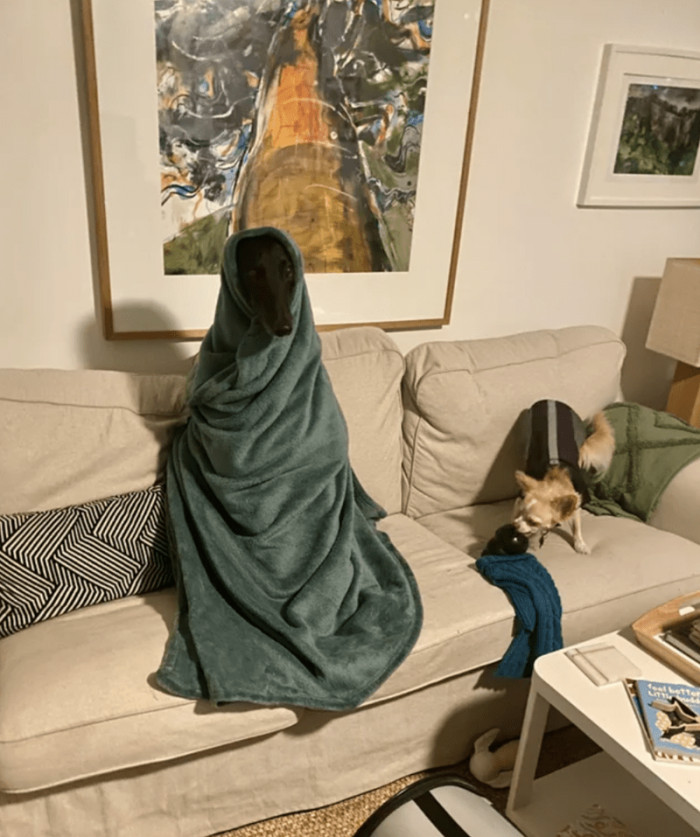 7. "Hey mum, how about we sit on the couch and watch TV all day?"