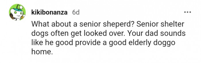 15. Providing a good home for an elderly doggo