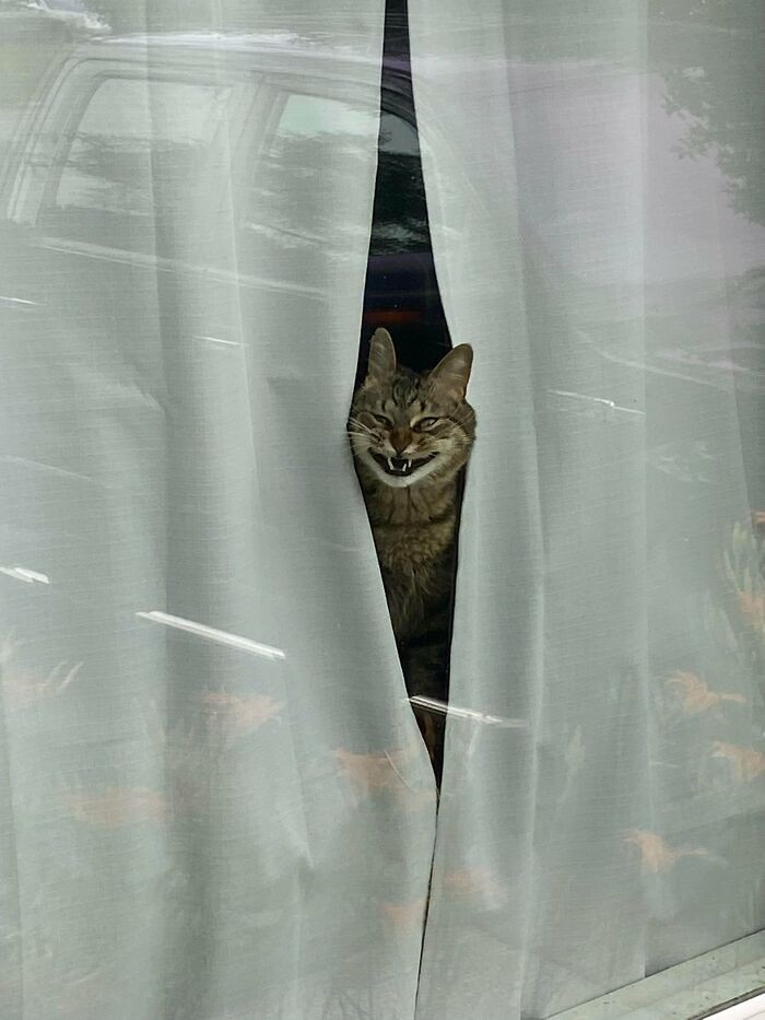 38. He can't get outside. That's why he's this upset.