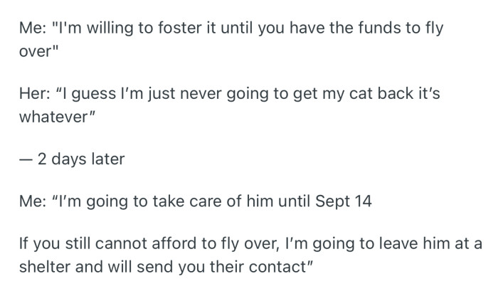 OP told her that they were going to hand the cat over to a shelter if she didn’t come to claim it
