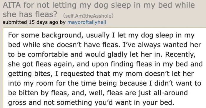 The OP normally lets the dog sleep on her bed.