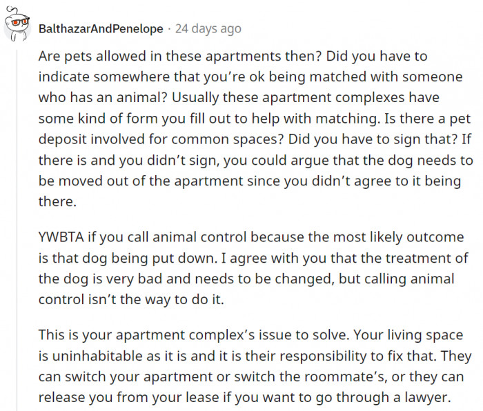 18. The landlord should really be having a hand at helping to solve this situation. It's their responsibility after all.