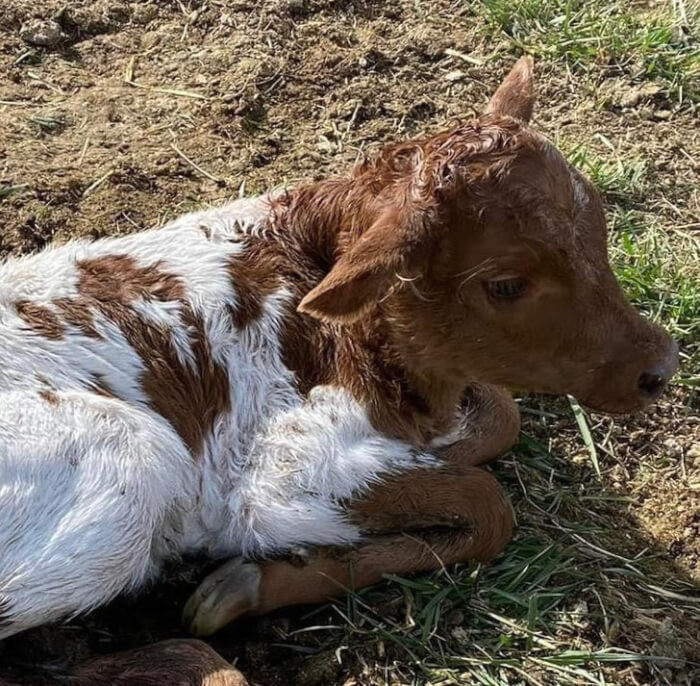 15. “She’s 3 hours old and needs a name!”