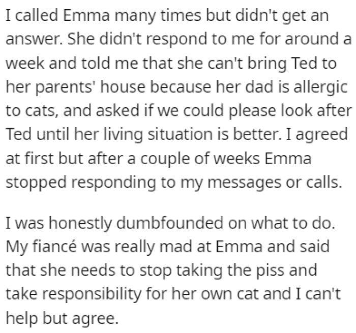 Emma Explained That She Couldn't Take the Cat with Her Because Her Dad Was Allergic