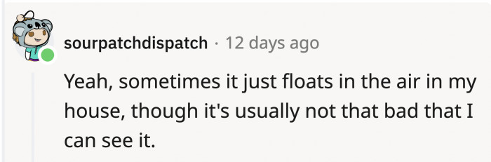 Dog hair has a weird way of being stealthy, and it gets everywhere