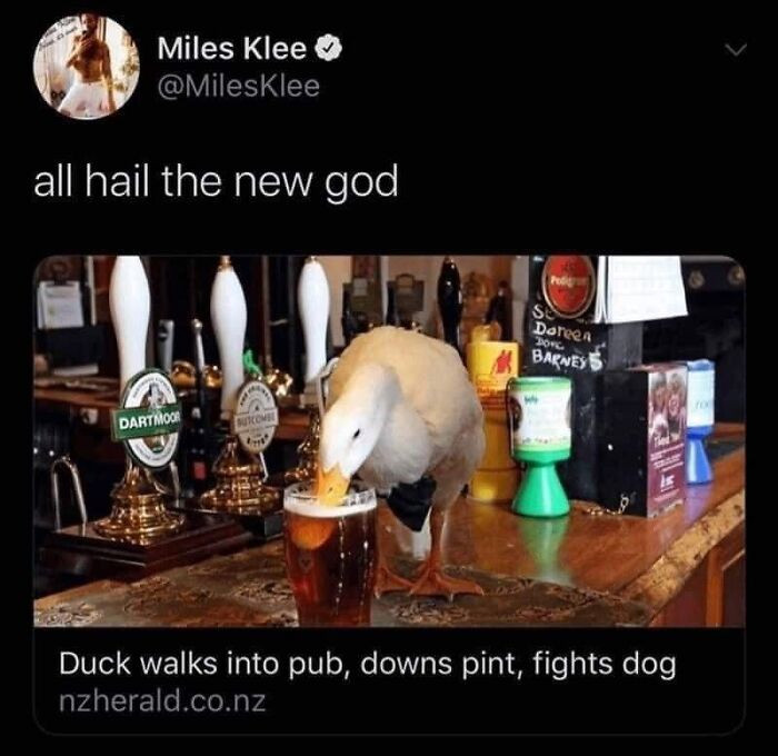 6. And the rest is history.