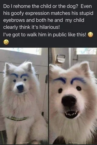 Doggo turns an AirPod into a piece of crap. Literally.