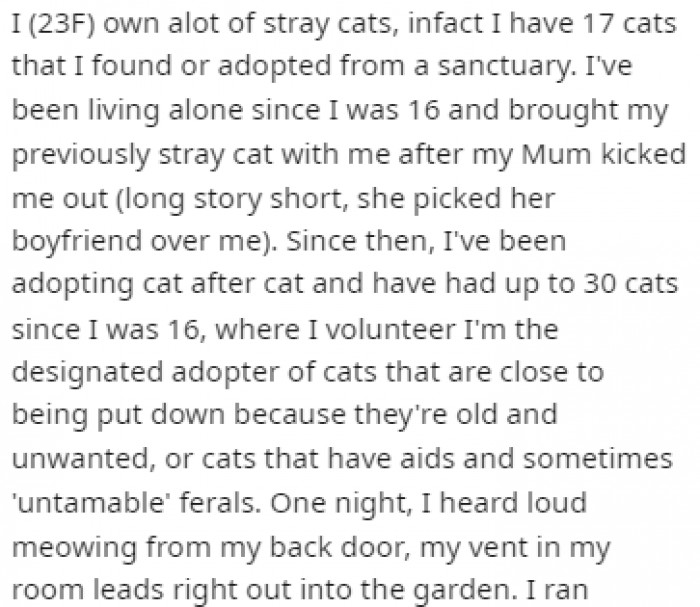 OP is a kind soul who dedicated her life to adopting from sanctuaries and providing them with adequate shelter, food, and water.