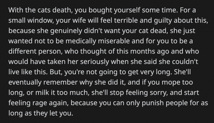 They said OP has a brief window of time to repair the damage in their marriage before his wife realizes that OP chose the cat in the first place.