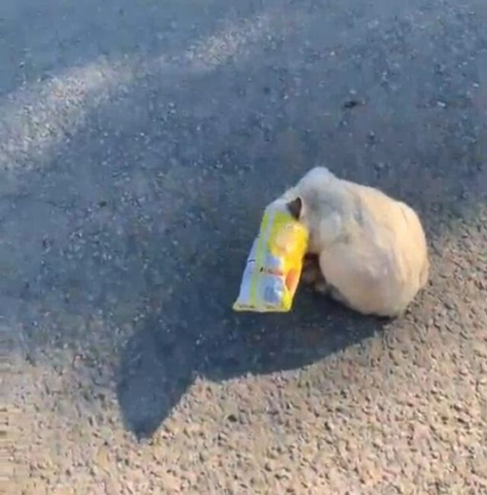 The incident happened in Pleasanton, Texas.