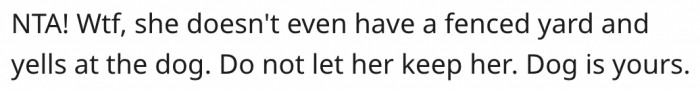 13. His ex isn't qualified to have the dog.