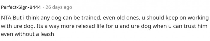Keep the dog on the leash, but I say still try to train them. Leashing them is still necessary even if they're trained, especially in public spaces.