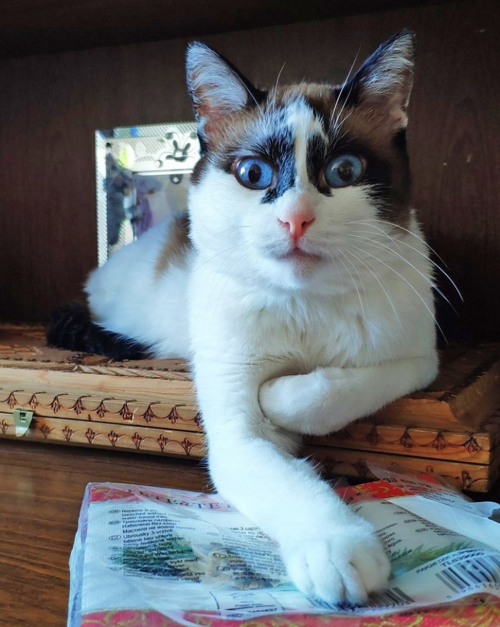 14. "What do you mean by I can't have that?"