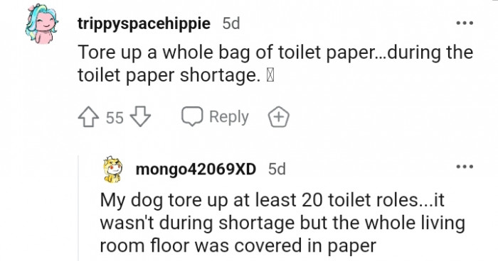 14. This dog tore up a whole bag of toilet paper