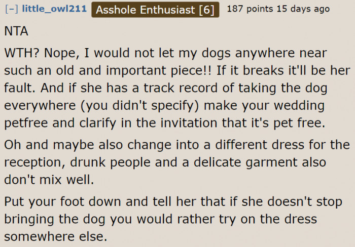 Even other people wouldn't allow a dog to enter if they're fitting something this important.