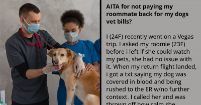 Woman Asks Her Roommate To Pay Vet Bills For Her Injured Dog Because She Left It Unattended With A Stranger Dog