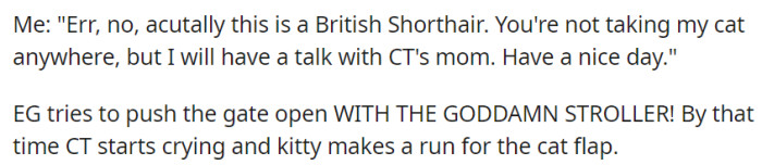 Amidst a disagreement about the cat's breed and ownership, chaos ensued as EG attempted to force the gate open with a stroller, leading to CT crying and the cat escaping through the cat flap.