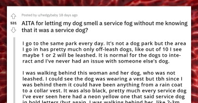 Redditor Unintentionally Allows Their Dog to Interact with a Service Dog in the Park, Gets Yelled at by the Owner